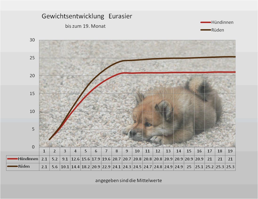 Tabelle Gewichtsentwicklung