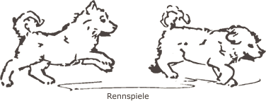 Rennspiele