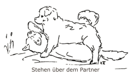 Stehen über dem Partner