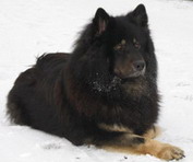 Banja von den Wolfiesen Banja